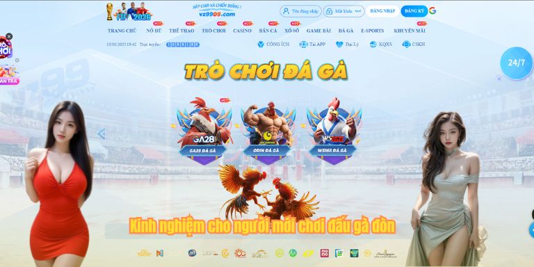 Đá Gà Đòn: Luật Chơi Và Kinh Nghiệm Cá Cược Thắng Lớn 4 Kinh nghiệm cho người mới chơi đấu gà đòn