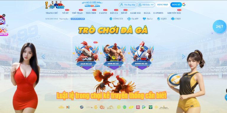 Đá Gà Đòn: Luật Chơi Và Kinh Nghiệm Cá Cược Thắng Lớn 2 Luật lệ trong chọi kê truyền thống cần biết