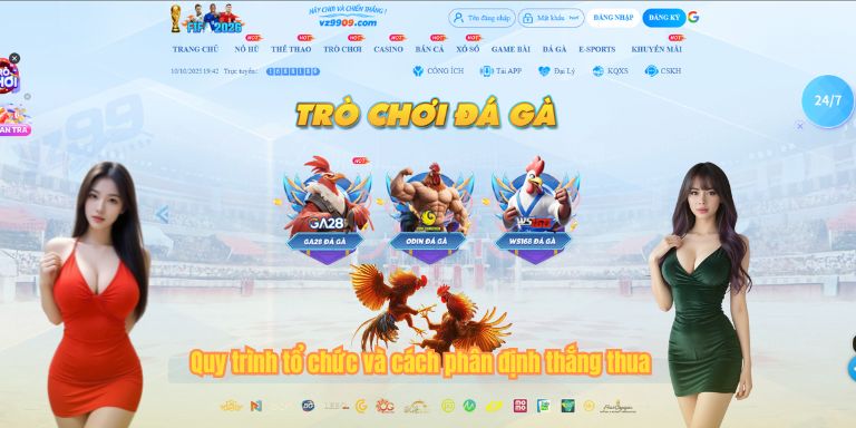 Đá Gà Đòn: Luật Chơi Và Kinh Nghiệm Cá Cược Thắng Lớn 3 Quy trình tổ chức và cách phân định thắng thua